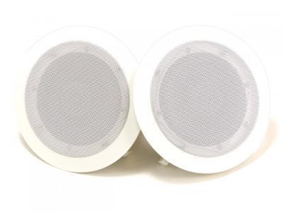 Steamist_TSS-CL_Speakers_1